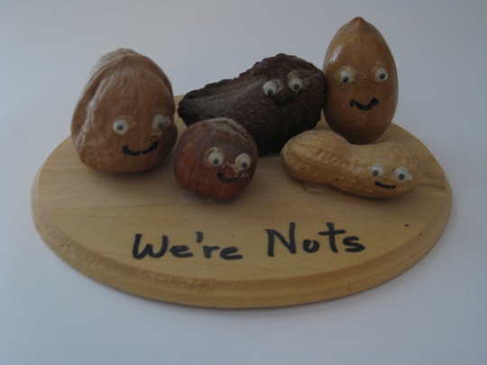 we're nuts