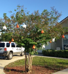 2015 ghost pumpkin tree
